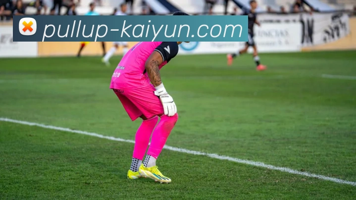 开云官网平台生态图